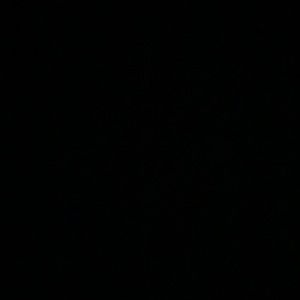 Meet your Posher, Martha